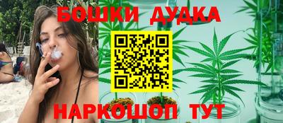 индика Заволжье