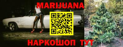 индика Заволжье