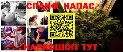 индика Заволжье