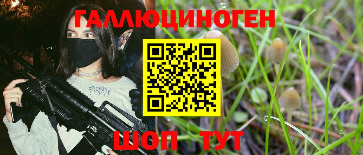 Псилоцибиновые грибы MAGIC MUSHROOMS Избербаш